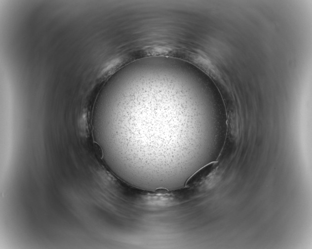 X0000086890378200704301002