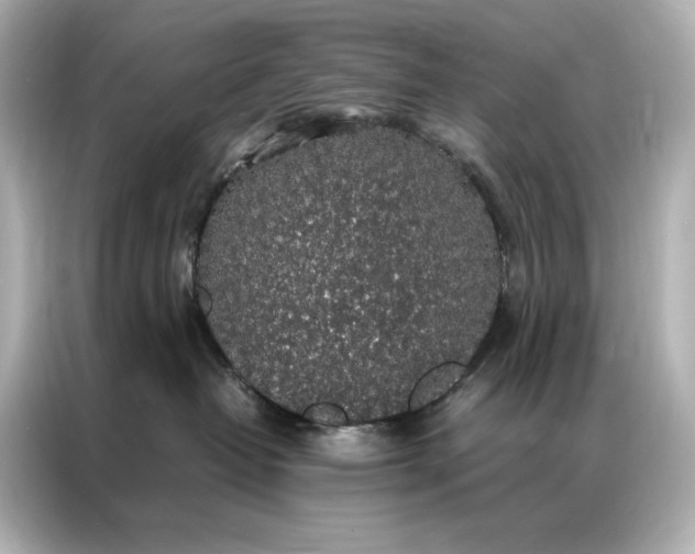 X0000086890382200704301002