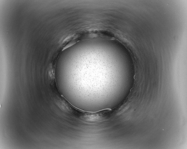 X0000086890384200704301002