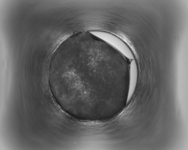 X0000086890385200704301001