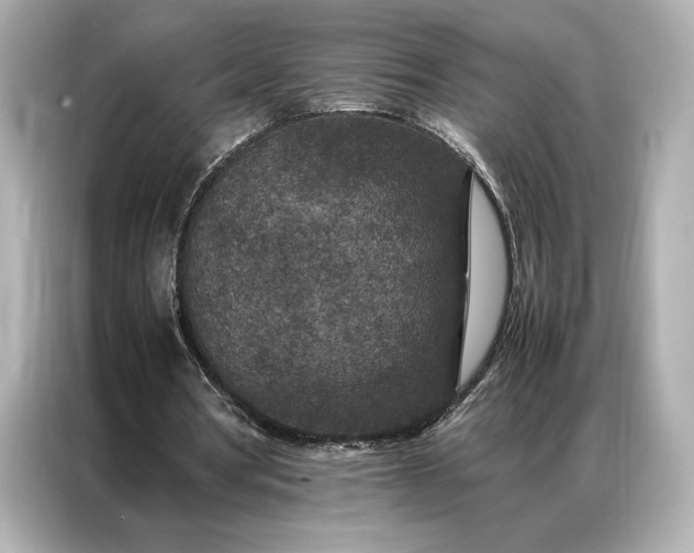 X0000086890386200704301001