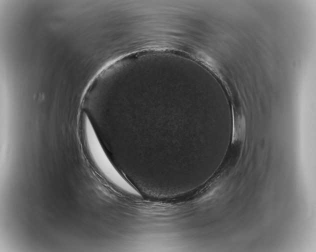 X0000086890387200704301001