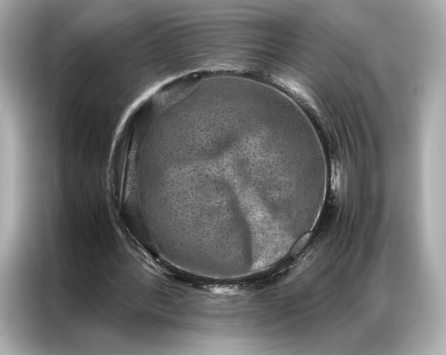 X0000086890388200704301001