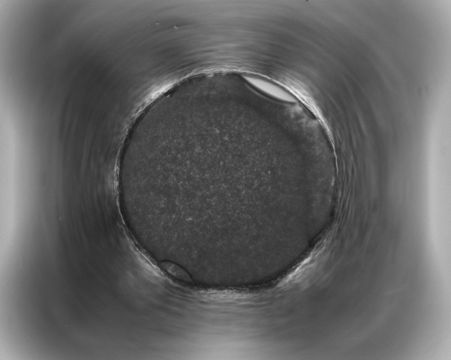 X0000086890389200704301001