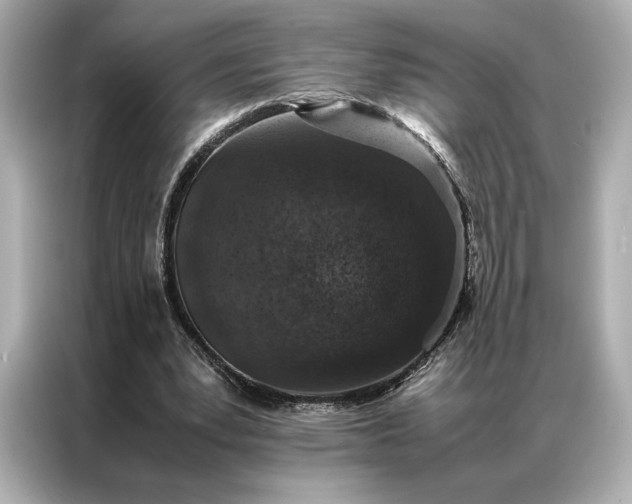 X0000086890391200704301001