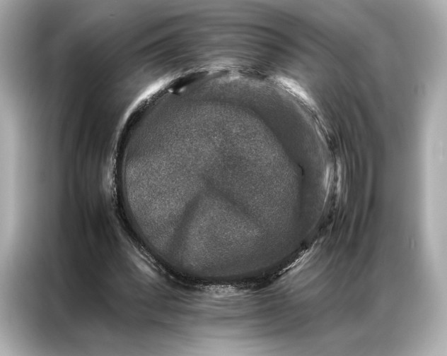 X0000086890392200704301001