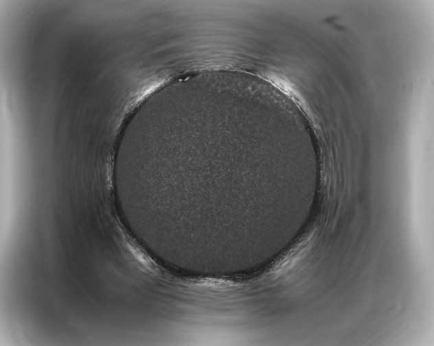 X0000086890393200704301001