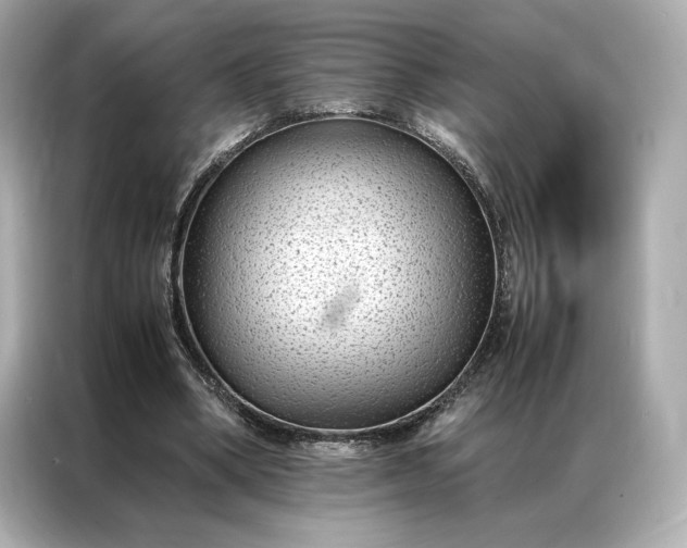 X0000086890394200704301001