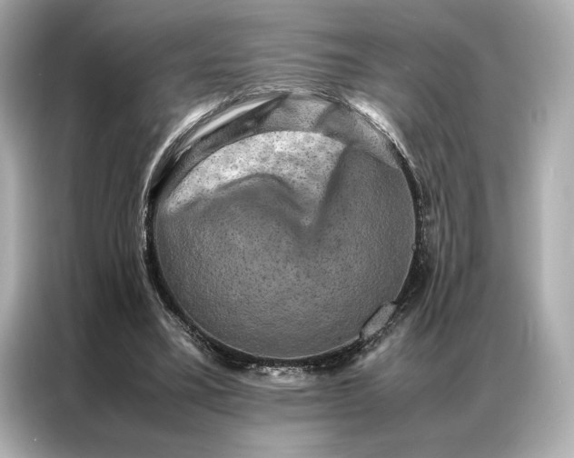 X0000086890395200704301001