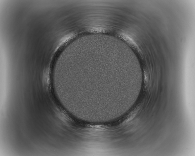 X0000086890396200704301001