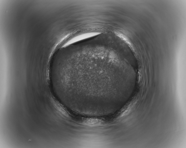 X0000086890399200704301001