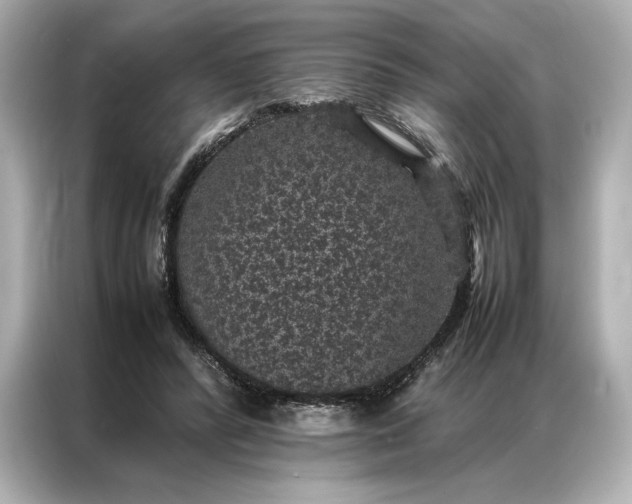 X0000086890400200704301001