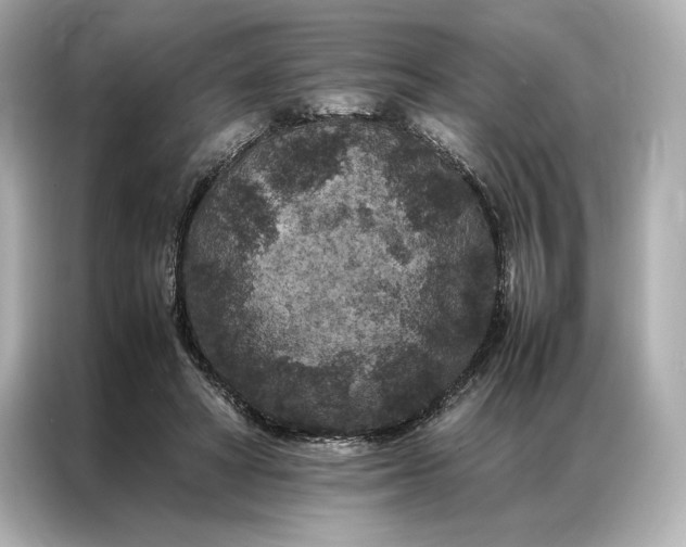 X0000086890402200704301001