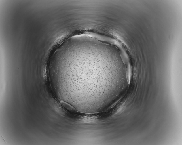 X0000086890403200704301001