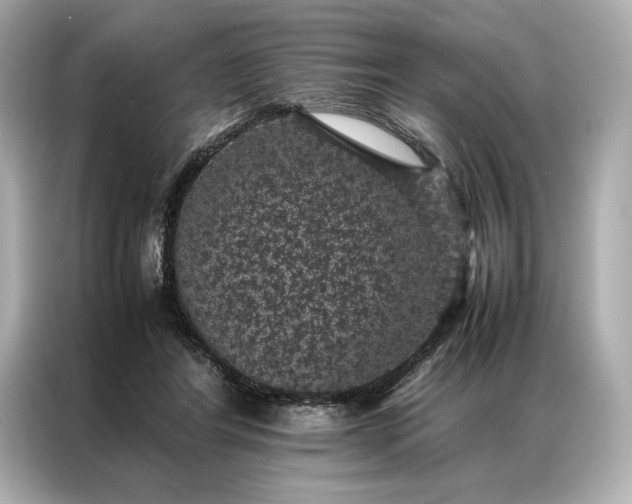 X0000086890404200704301001