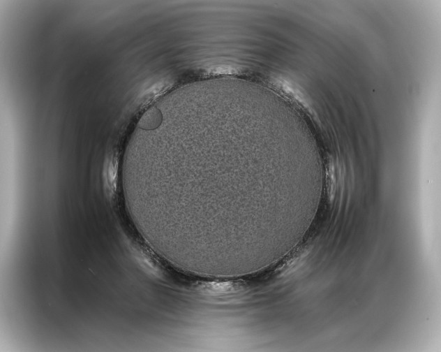 X0000086890406200704301001