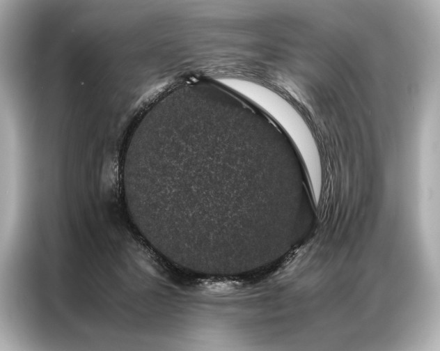 X0000086890407200704301001