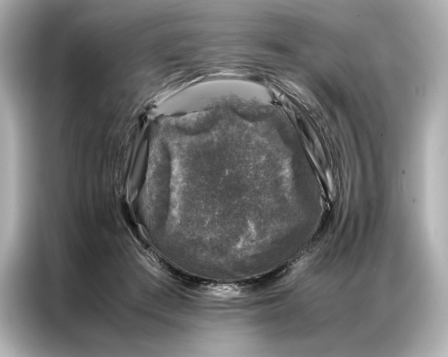 X0000086890409200704301001