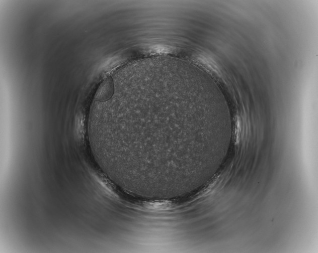 X0000086890410200704301001