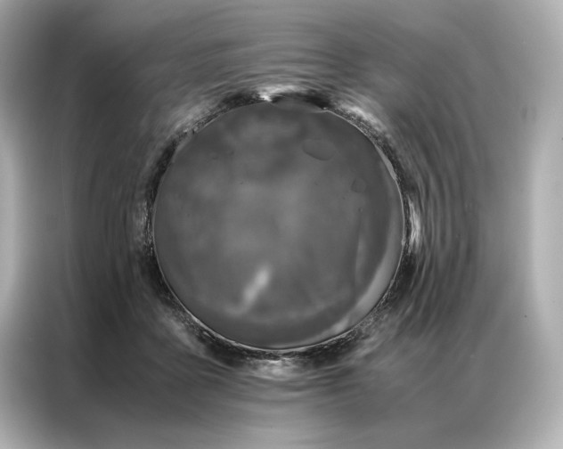 X0000086890411200704301001