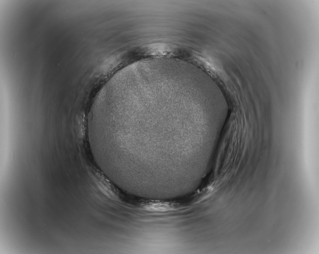 X0000086890413200704301001