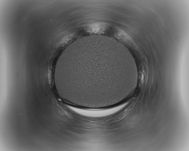 X0000086890416200704301001