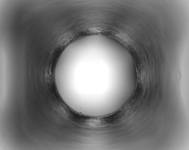 X0000086890418200704301001