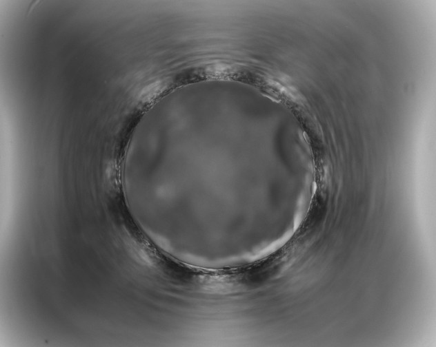 X0000086890419200704301001