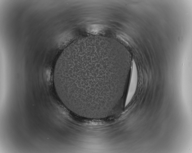 X0000086890420200704301001