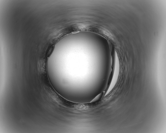 X0000086890421200704301001