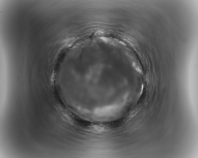 X0000086890423200704301001