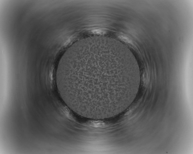 X0000086890424200704301001