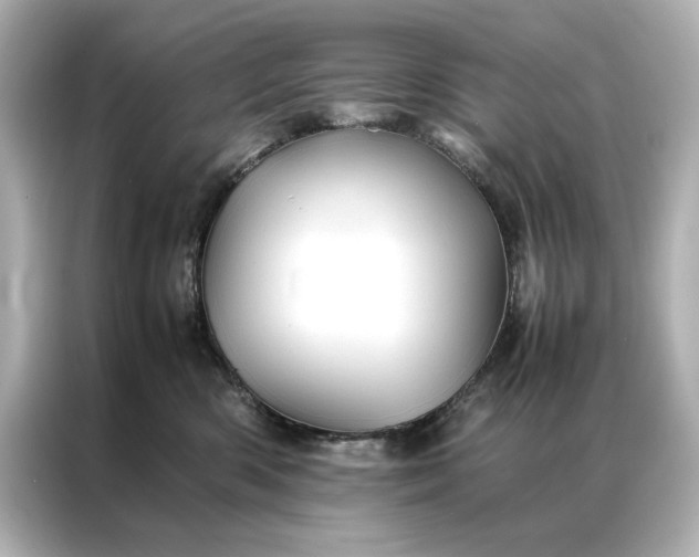 X0000086890426200704301001