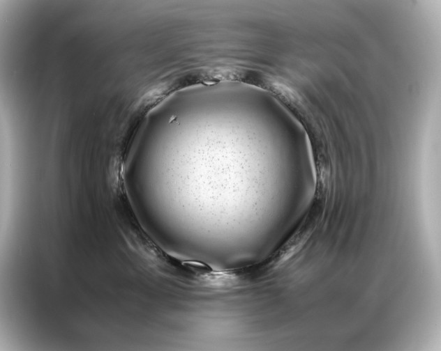 X0000086890429200704301001