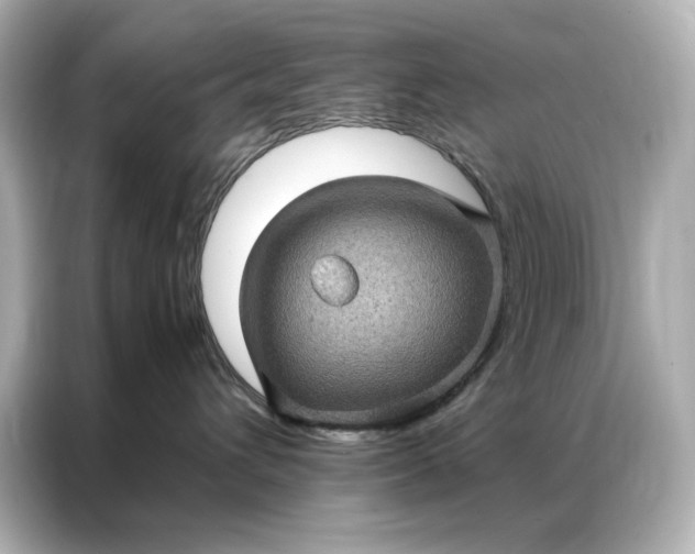 X0000086890432200704301001