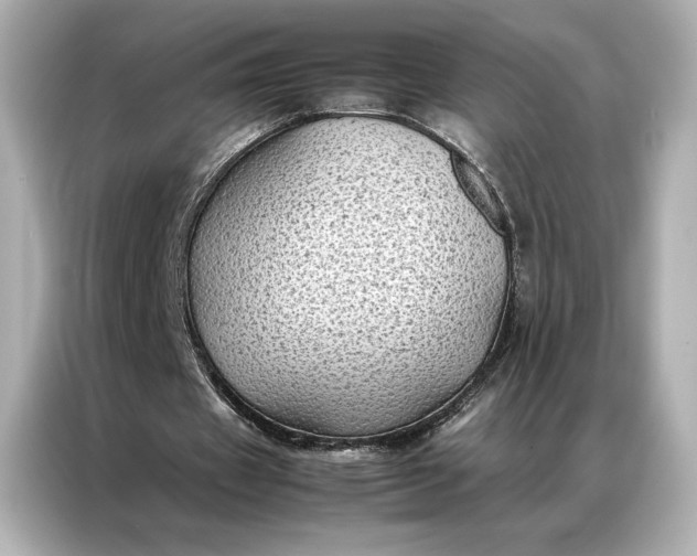 X0000086890433200704301000