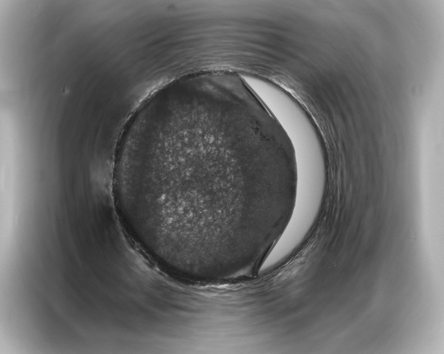 X0000086890434200704301000