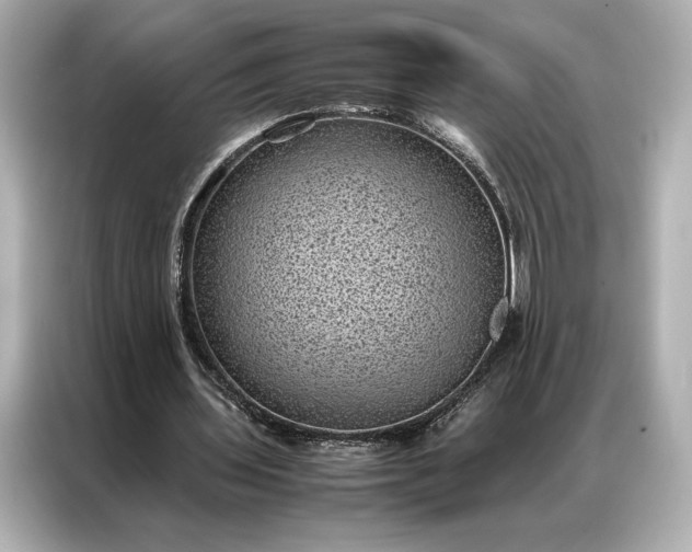 X0000086890435200704301000