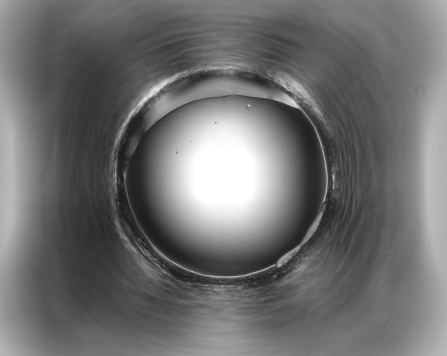 X0000086890436200704301000