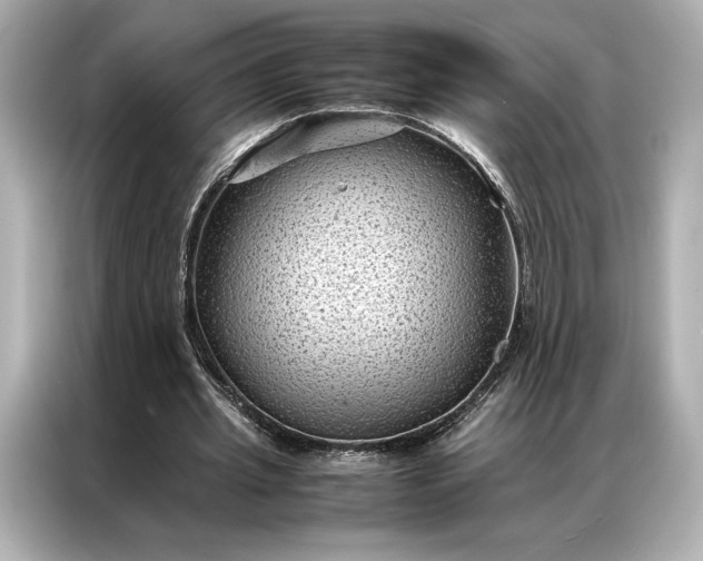 X0000086890437200704301000