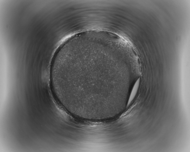 X0000086890438200704301000