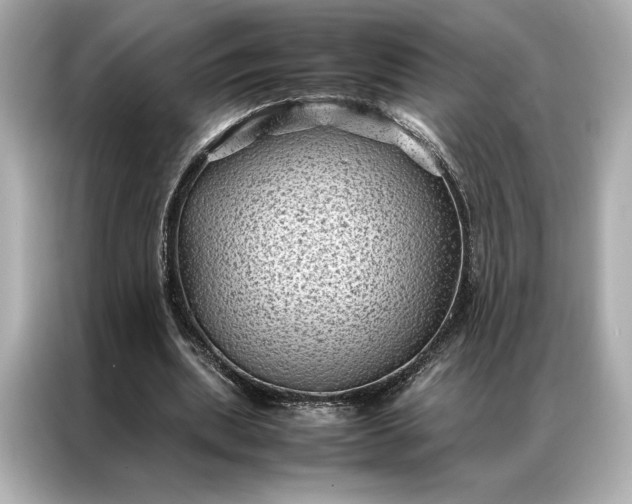 X0000086890439200704301000