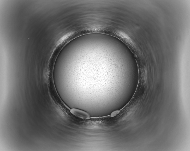 X0000086890440200704301000