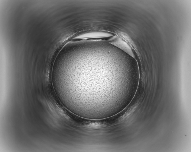 X0000086890441200704301000