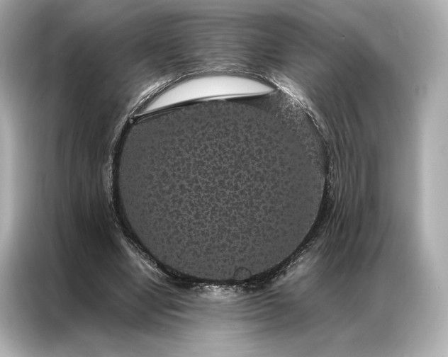 X0000086890442200704301000