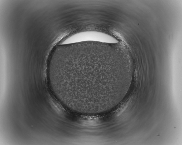 X0000086890443200704301000