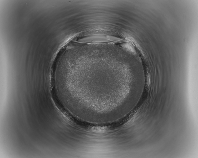 X0000086890444200704301000