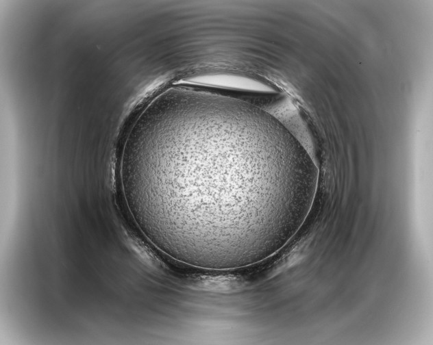 X0000086890446200704301000