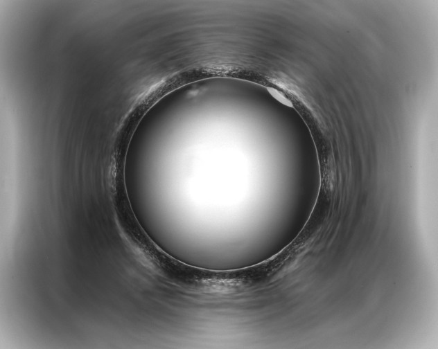 X0000086890448200704301000