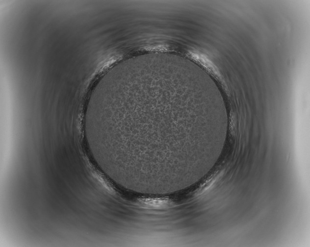 X0000086890449200704301000